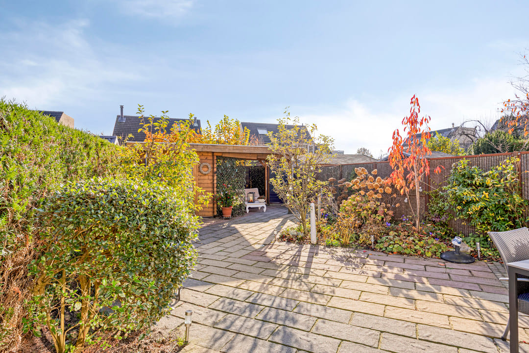 Foto 46 van IJsvogel 65