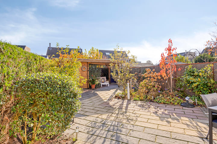 Foto 46 van IJsvogel 65