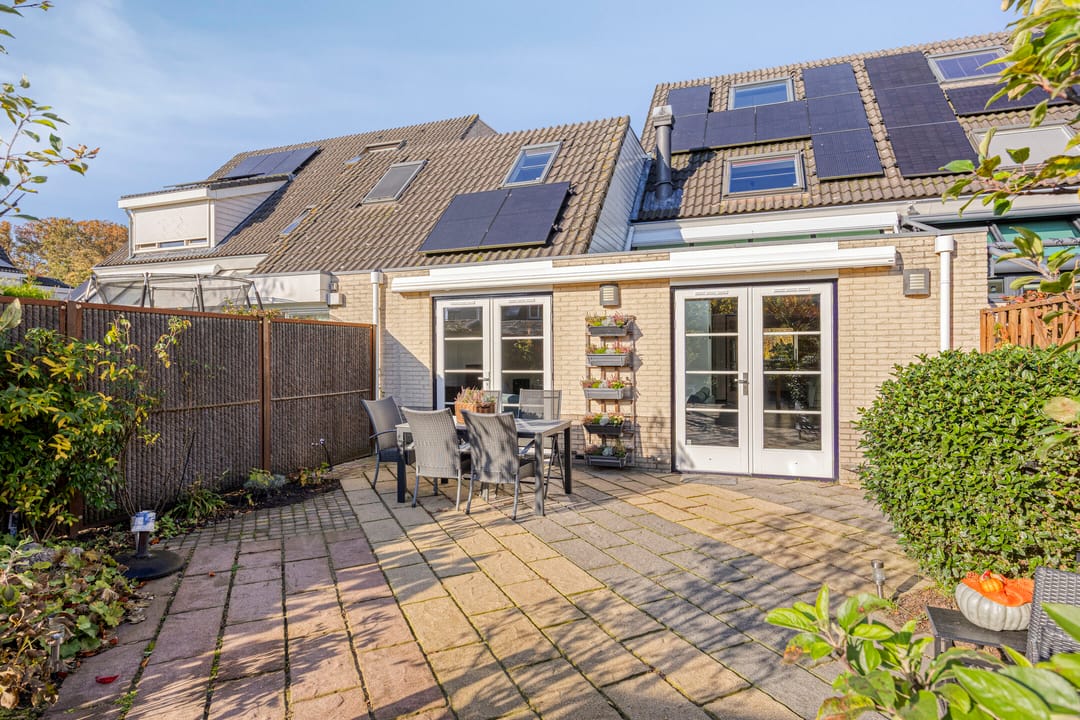 Foto 47 van IJsvogel 65