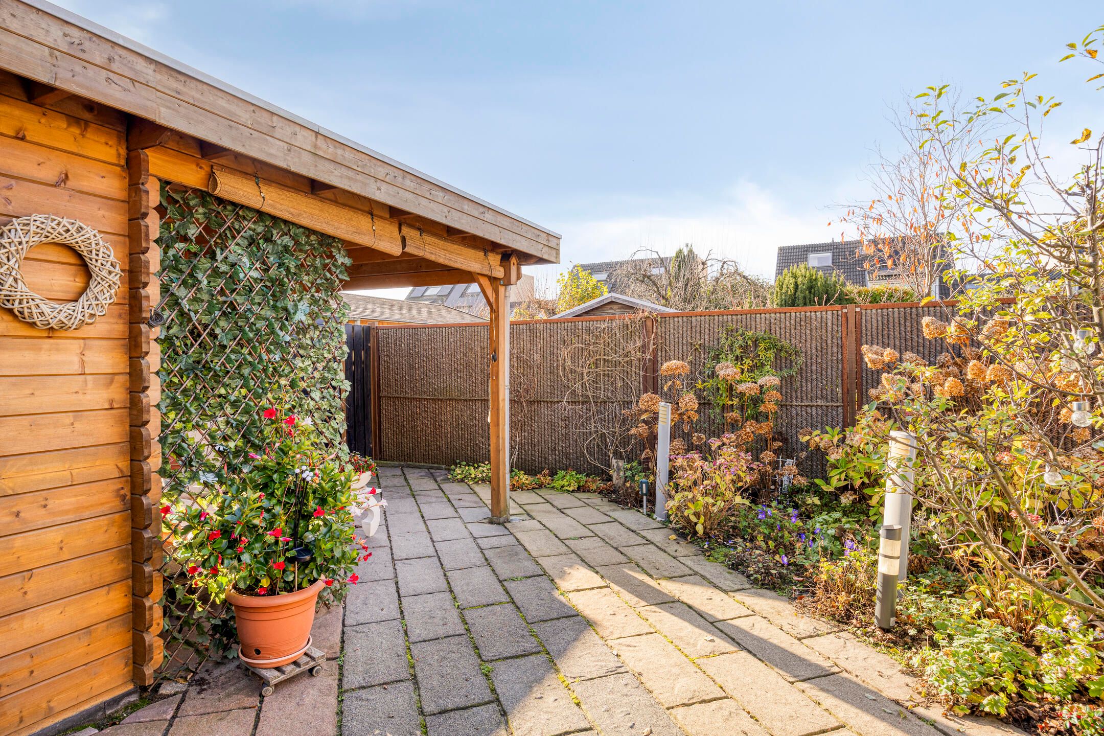 Foto 48 van IJsvogel 65