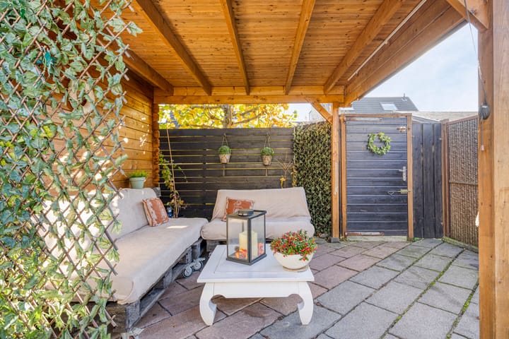 Foto 49 van IJsvogel 65