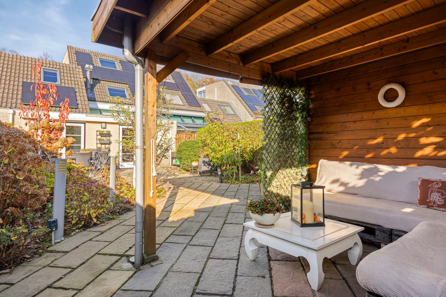 Foto 50 van IJsvogel 65