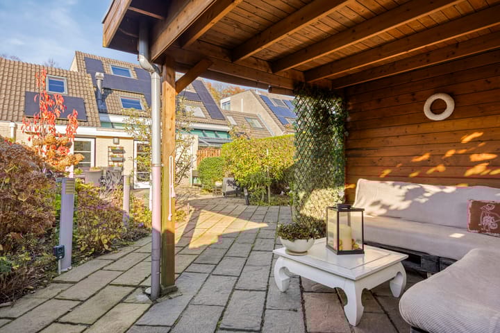 Foto 50 van IJsvogel 65