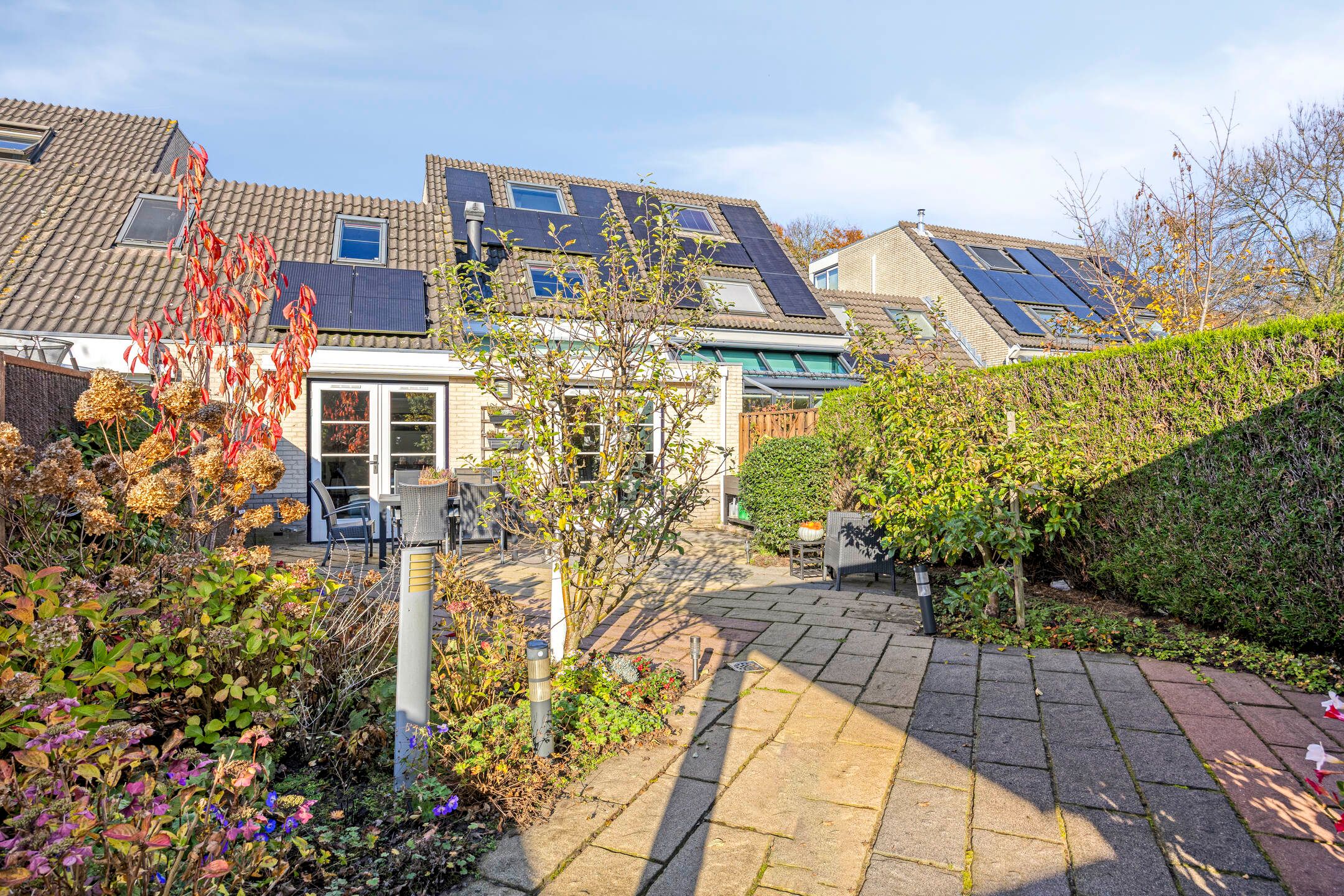 Foto 51 van IJsvogel 65