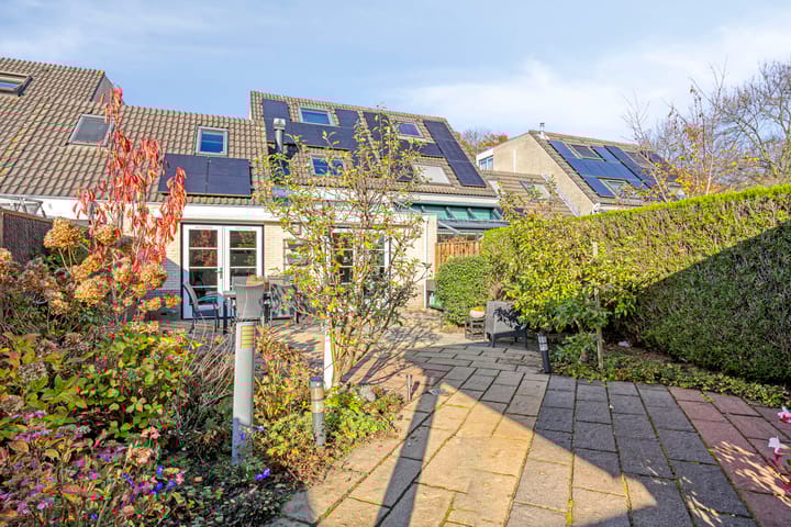 Foto 51 van IJsvogel 65