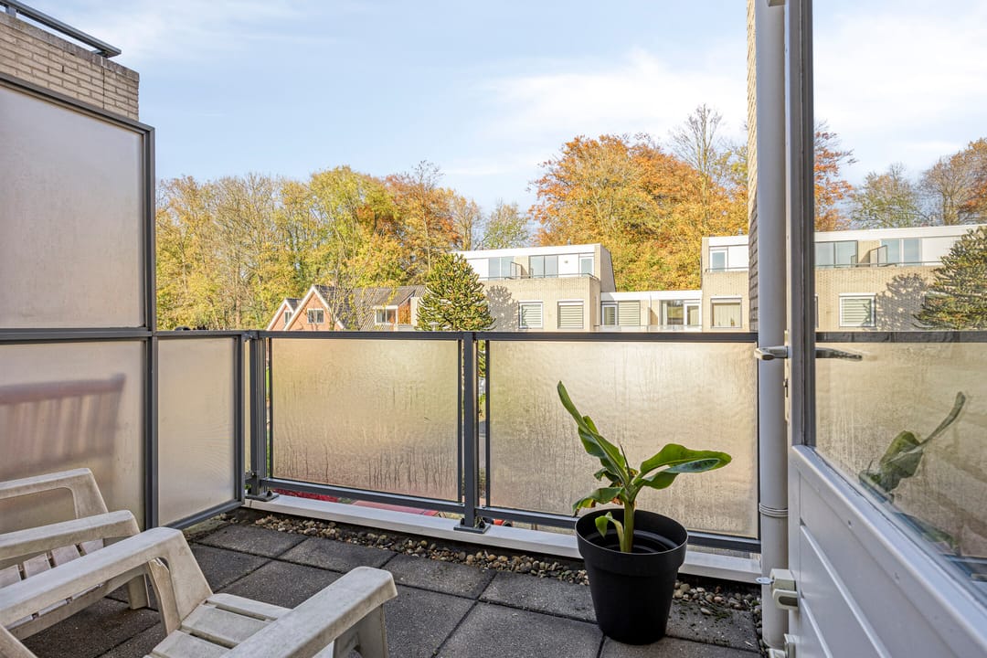 Foto 37 van IJsvogel 65