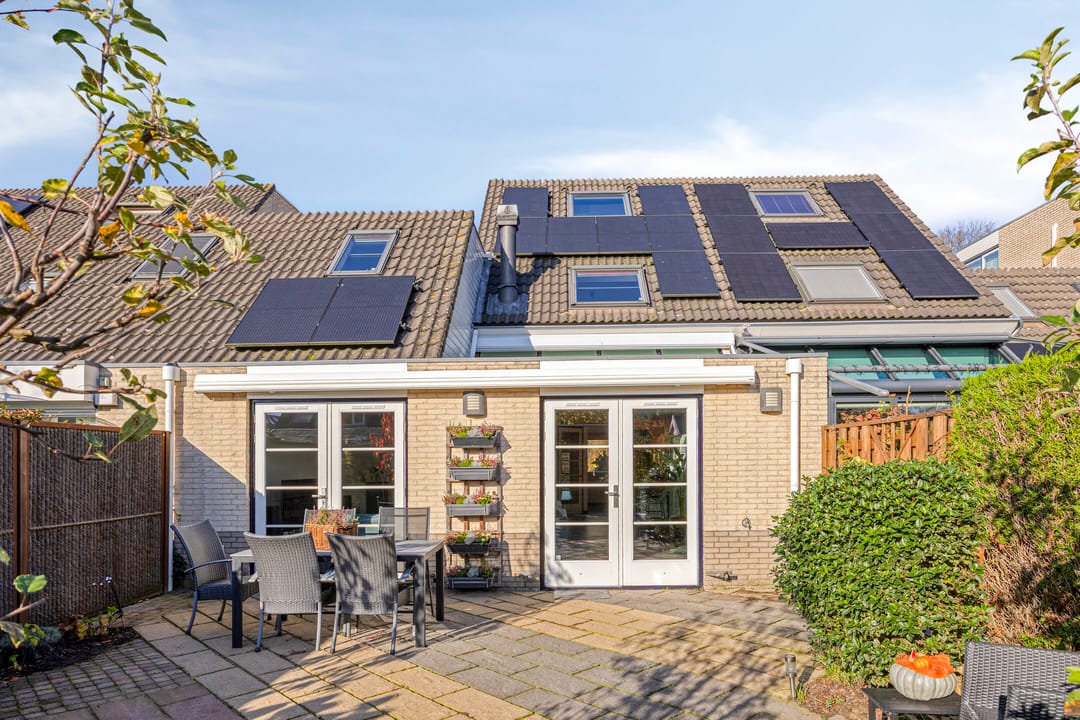 Foto 52 van IJsvogel 65