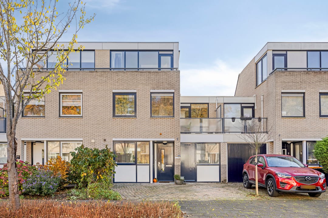 Foto 53 van IJsvogel 65