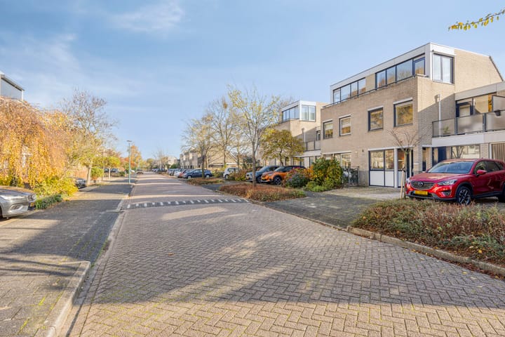 Foto 54 van IJsvogel 65