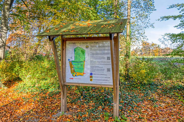 Foto 56 van IJsvogel 65