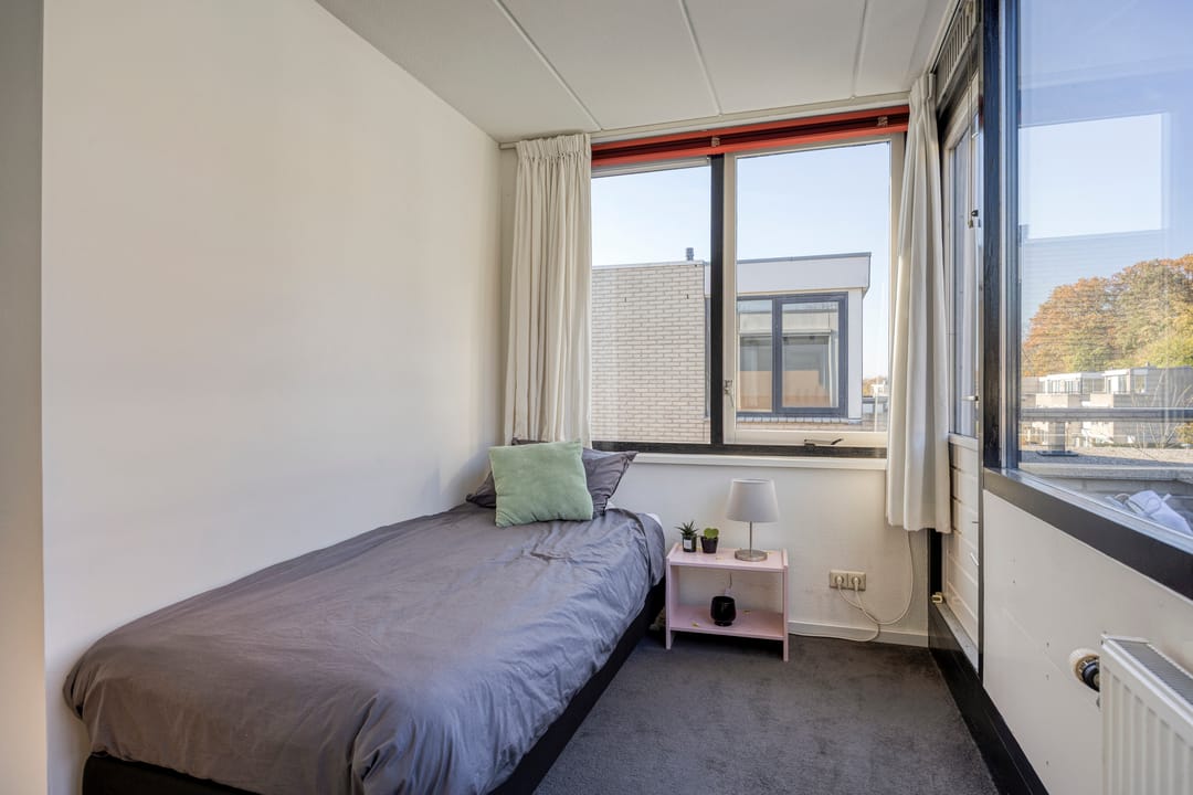 Foto 41 van IJsvogel 65