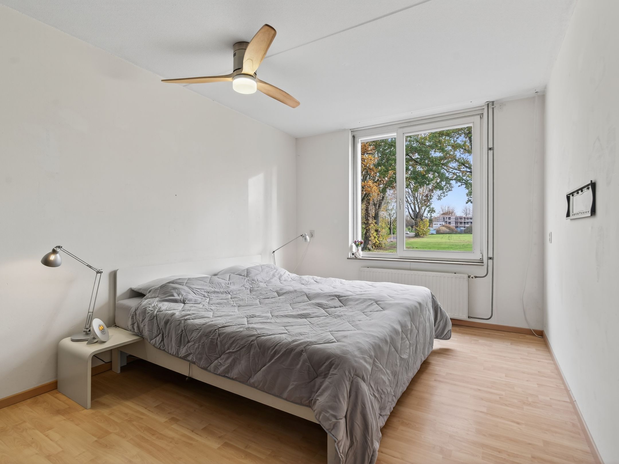 Foto 6 van Drachmenruwe 21