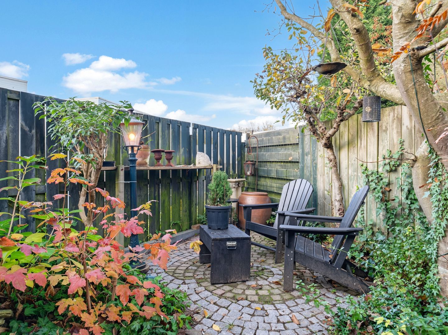 Foto 20 van Drachmenruwe 21