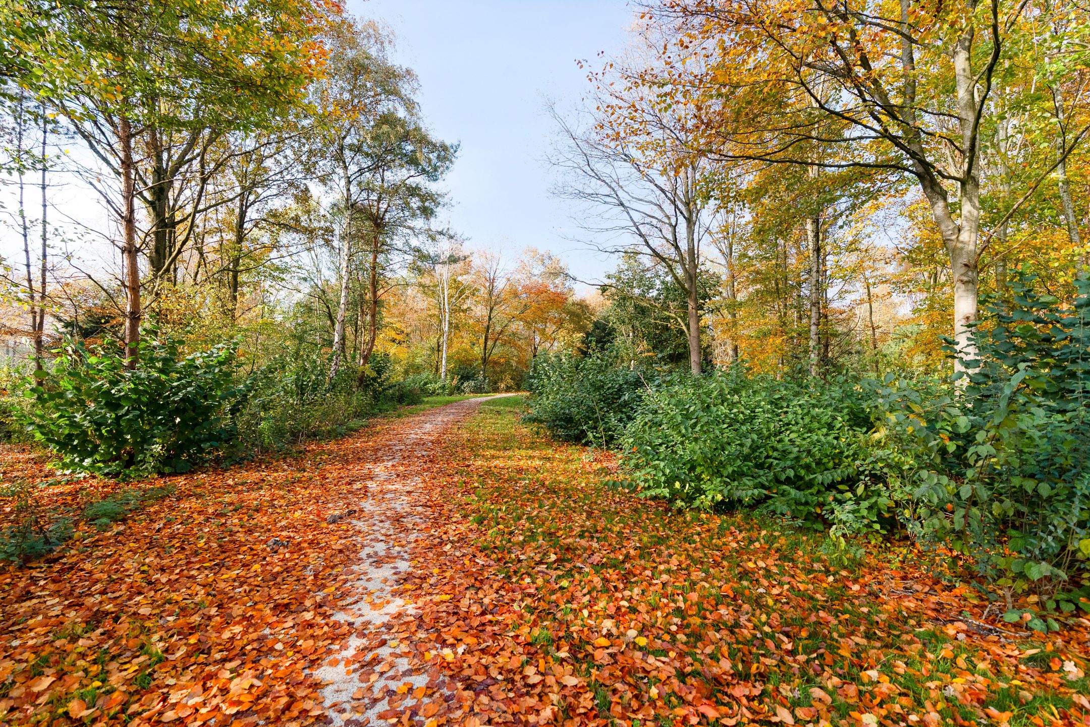 Foto 66 van Fruitweg 38