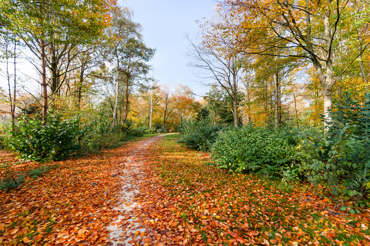 Foto 66 van Fruitweg 38