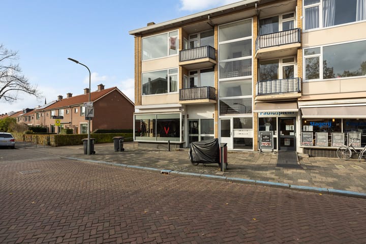 Foto 2 van Amalia van Solmsstraat 43