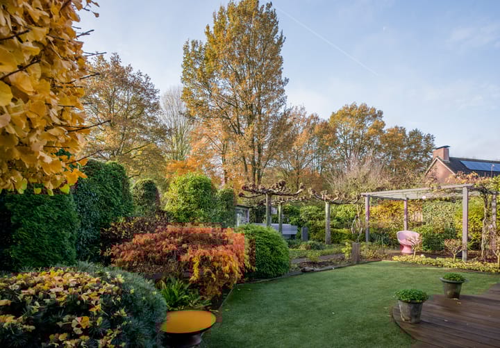 Photo 37 of Sprookjesberg 2-A