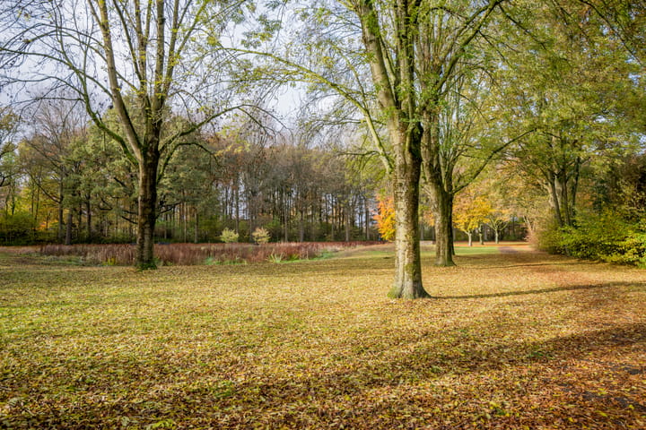 Photo 44 of Sprookjesberg 2-A