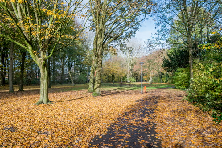 Photo 46 of Sprookjesberg 2-A