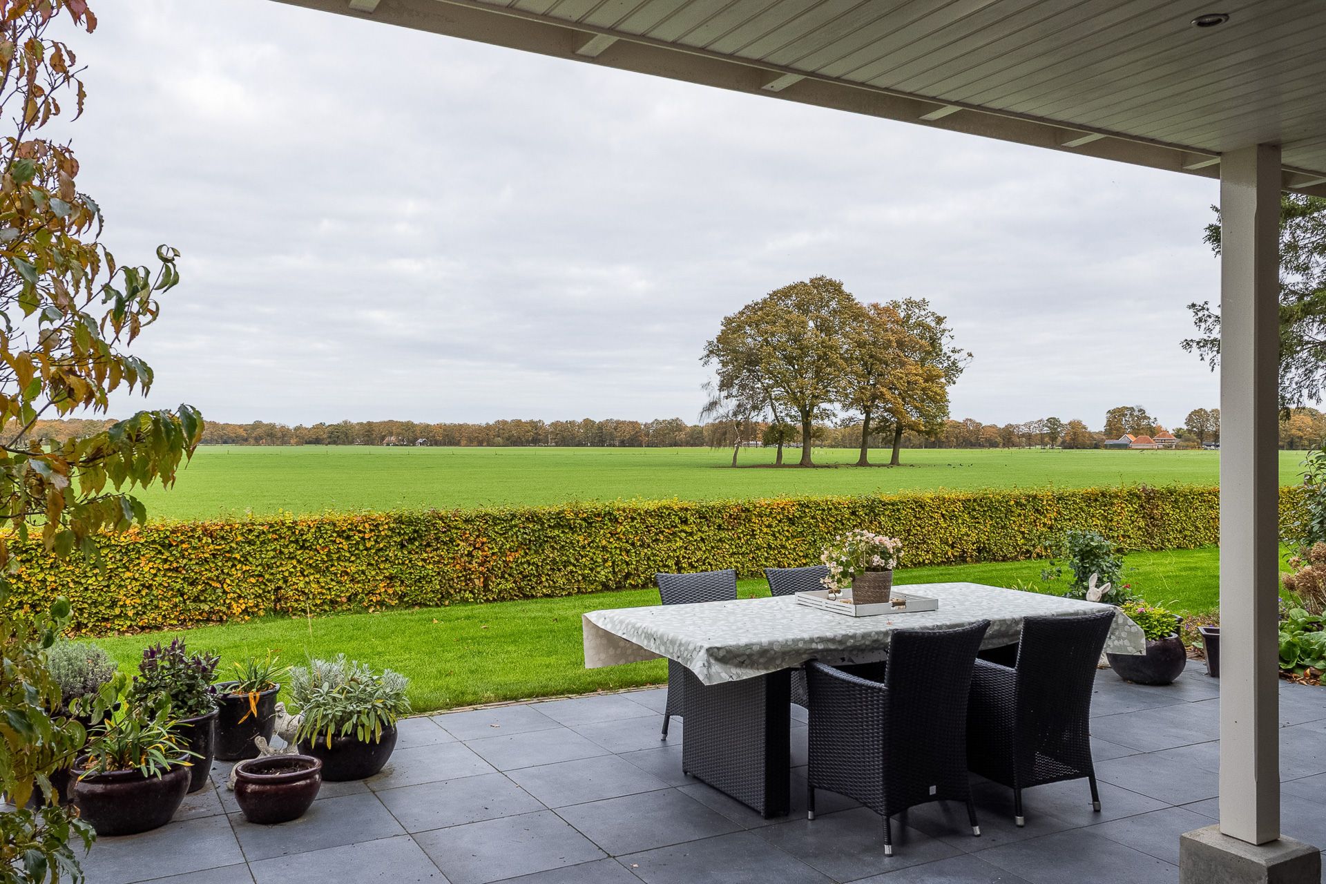 Foto 42 van Lemselosestraat 25