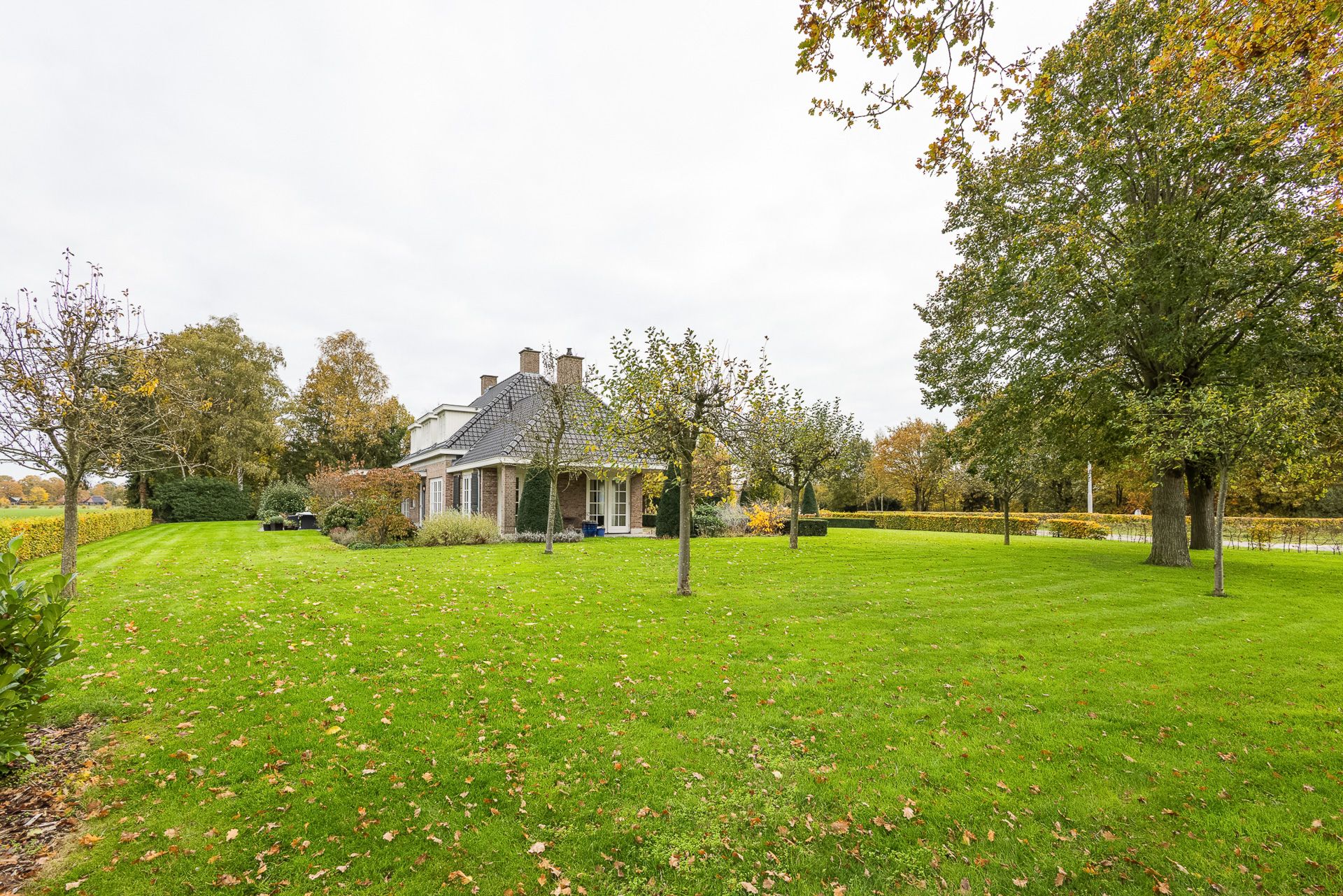 Foto 45 van Lemselosestraat 25