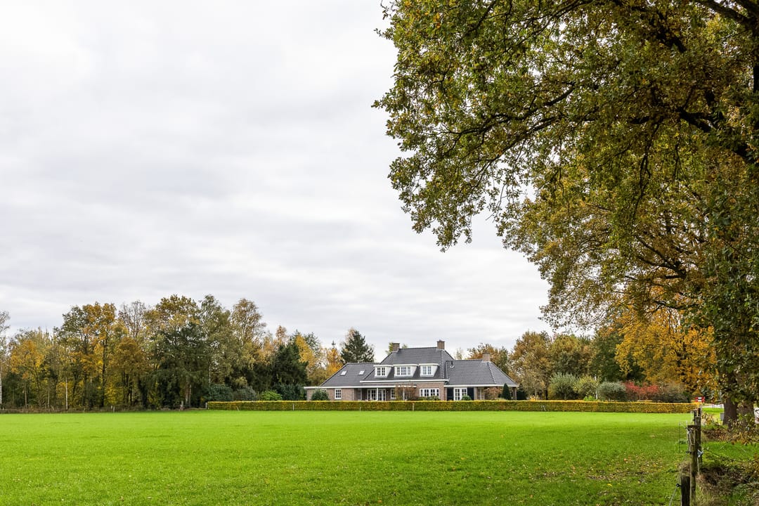 Foto 47 van Lemselosestraat 25