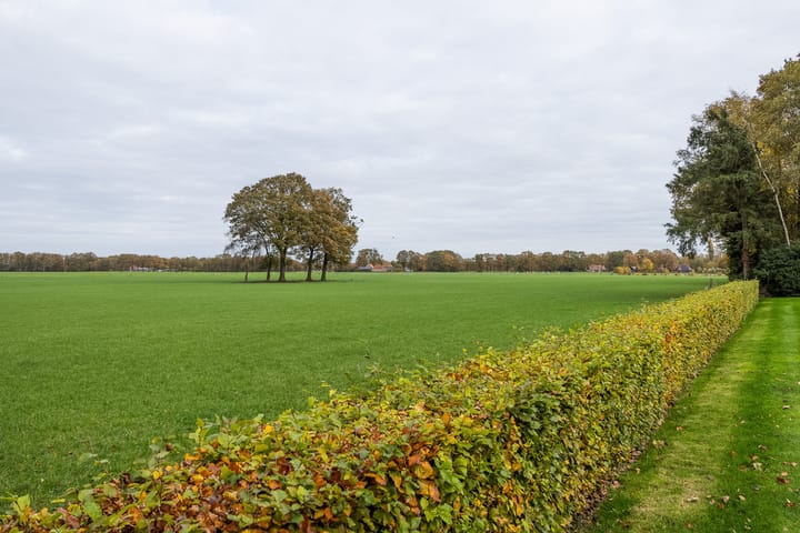 Photo 49 of Lemselosestraat 25