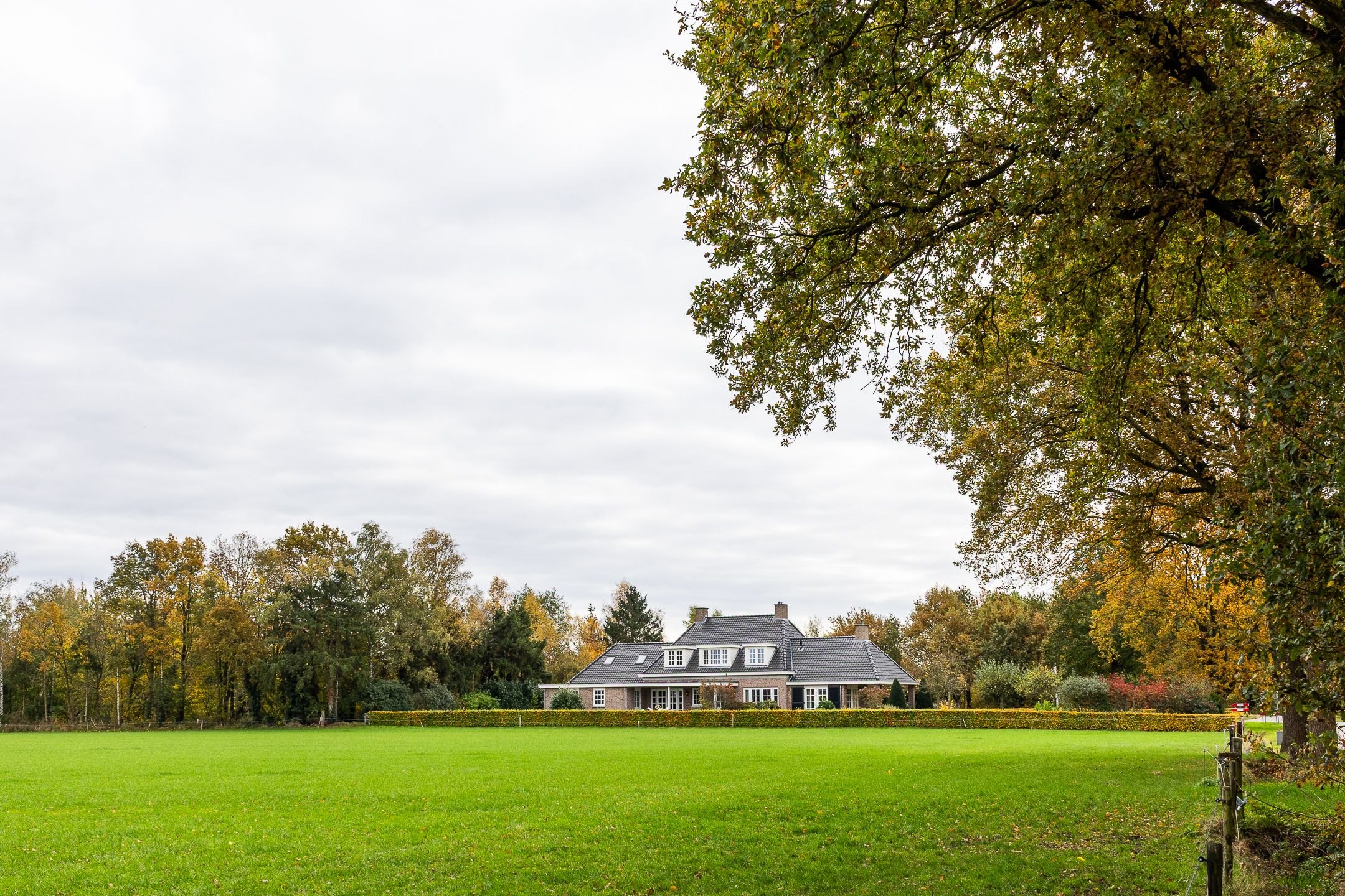 Foto 51 van Lemselosestraat 25