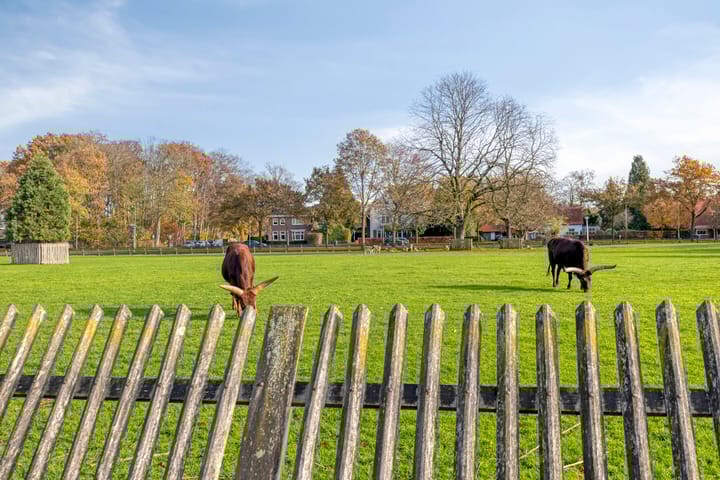 Foto 55 van Wesselmanlaan 40