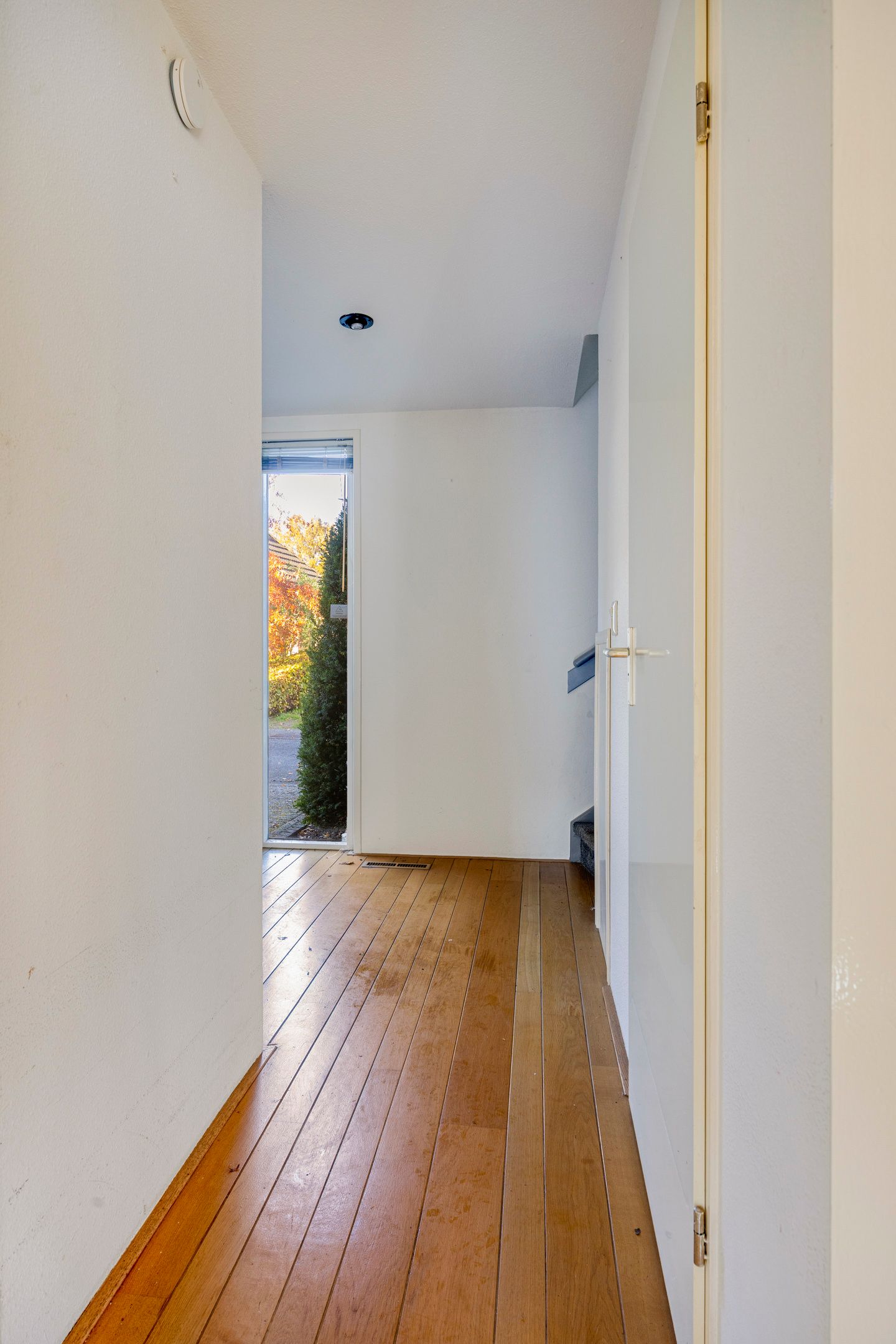 Photo 5 of Lijsterbesdreef 5