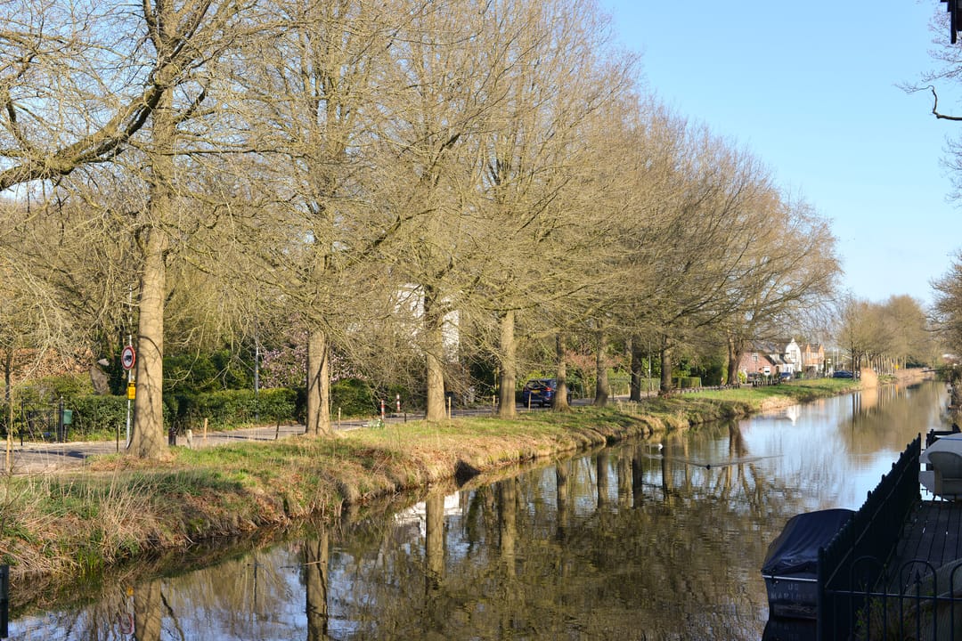 Foto 13 van Noordereinde 263