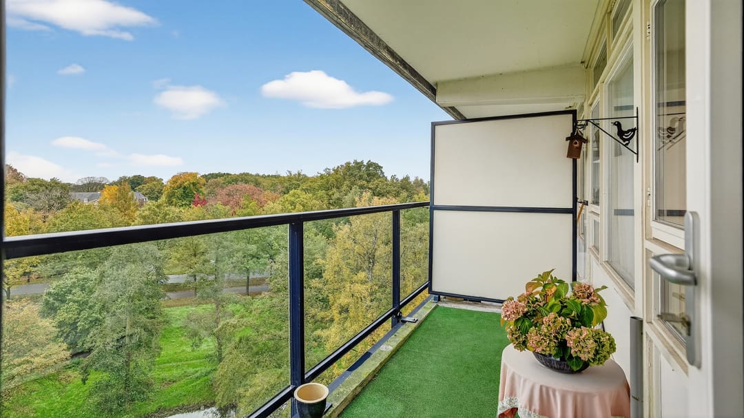 Photo 28 of Mozartstraat 140