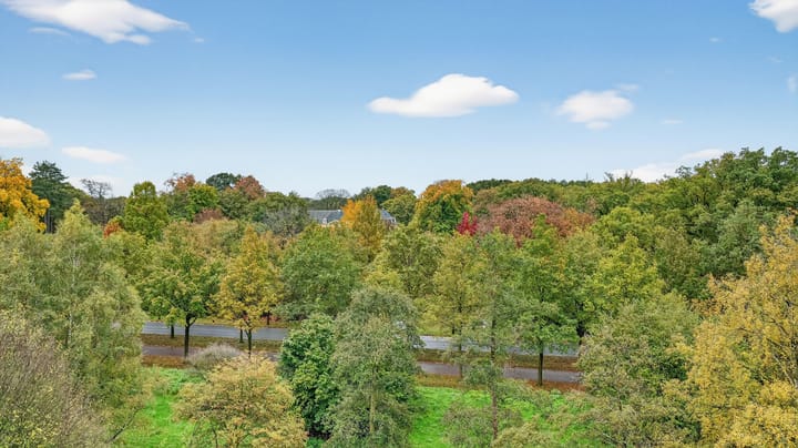 Photo 29 of Mozartstraat 140