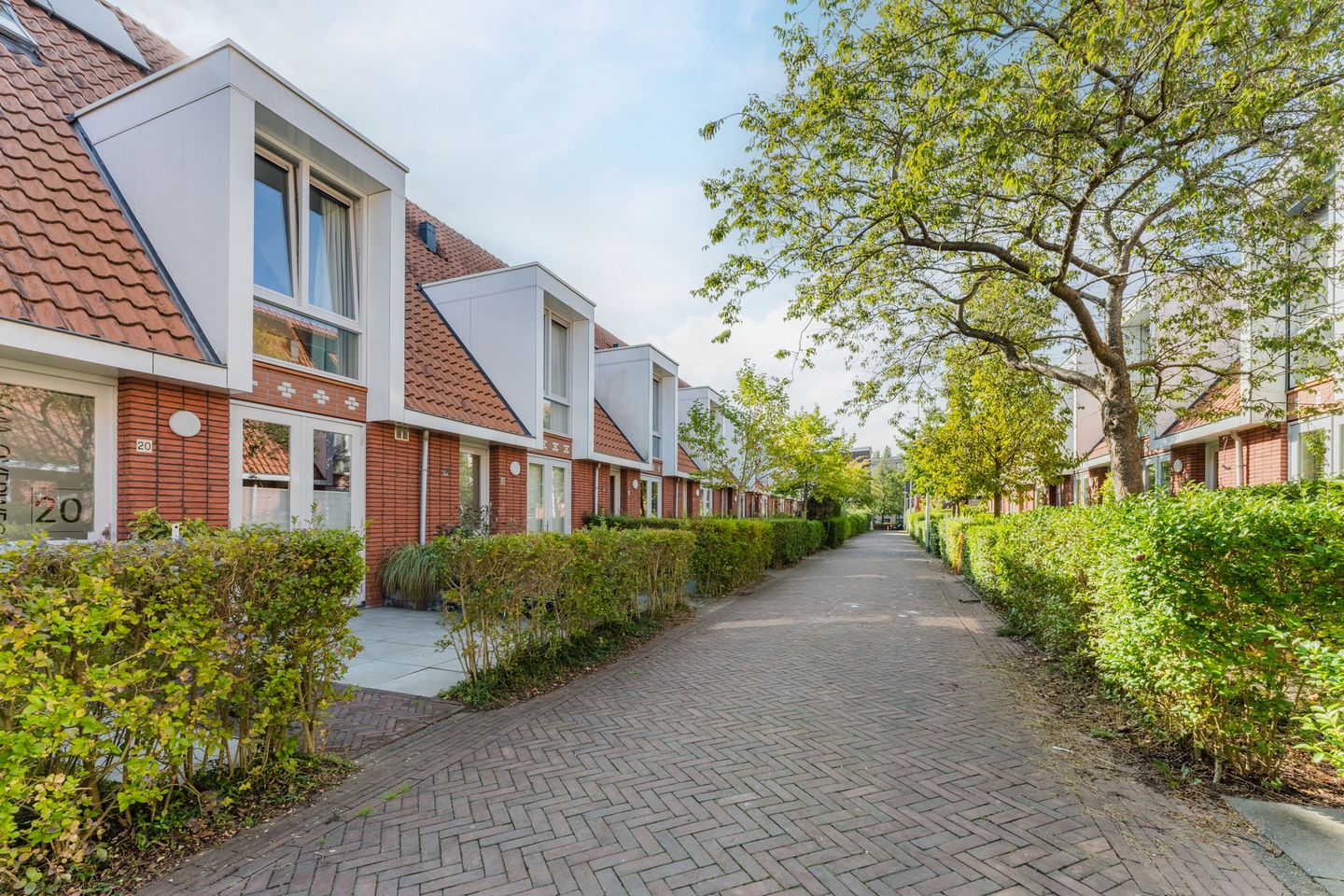 Foto 70 van Charlotte van Pallandthof 20