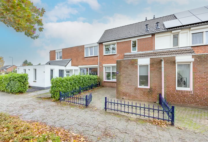 Foto 2 van Aronskelk 82