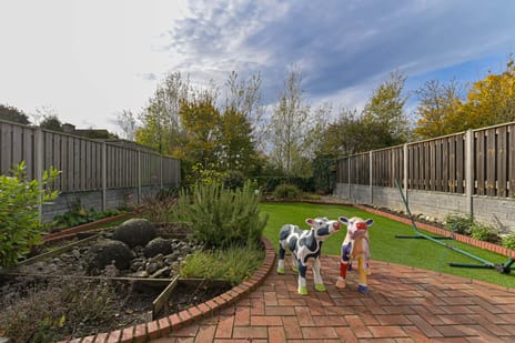 Dotterbloemstraat 13 secondary image