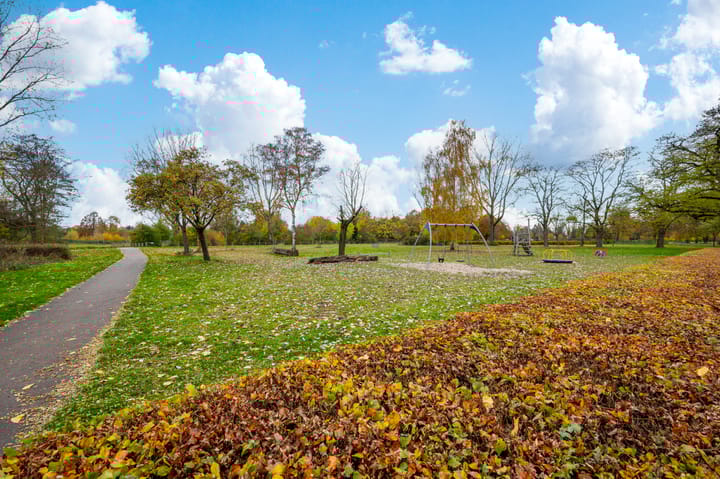 Foto 29 van Waalstraat 22