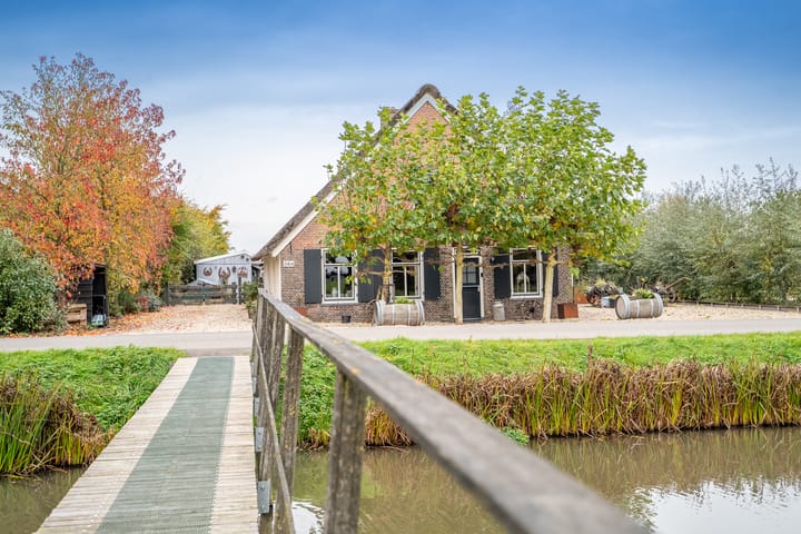 Photo 11 of Benedeneind NZ 384