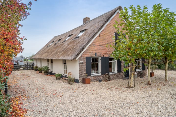 Photo 13 of Benedeneind NZ 384