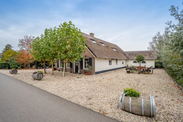 Photo 14 of Benedeneind NZ 384