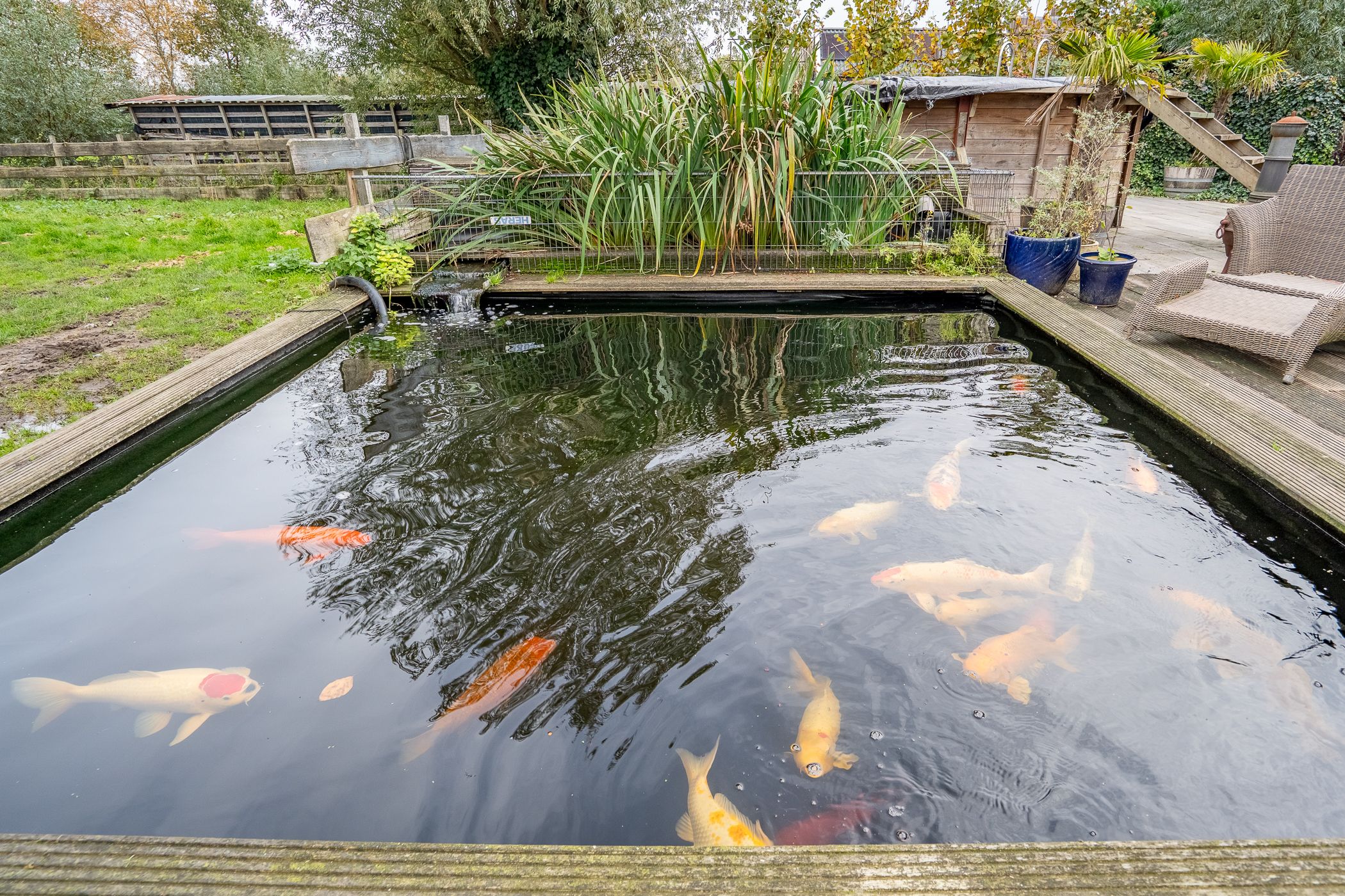 Foto 75 van Benedeneind NZ 384