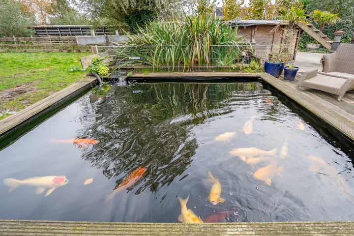 Photo 75 of Benedeneind NZ 384