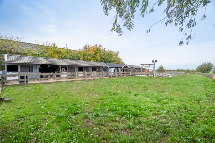 Photo 76 of Benedeneind NZ 384