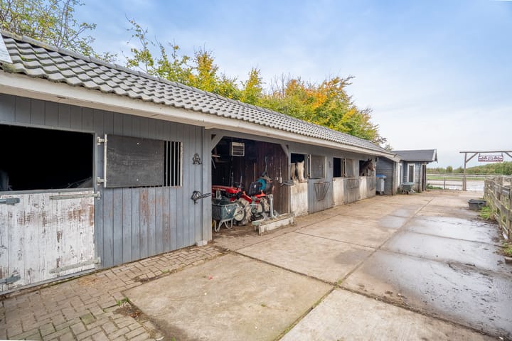 Photo 77 of Benedeneind NZ 384