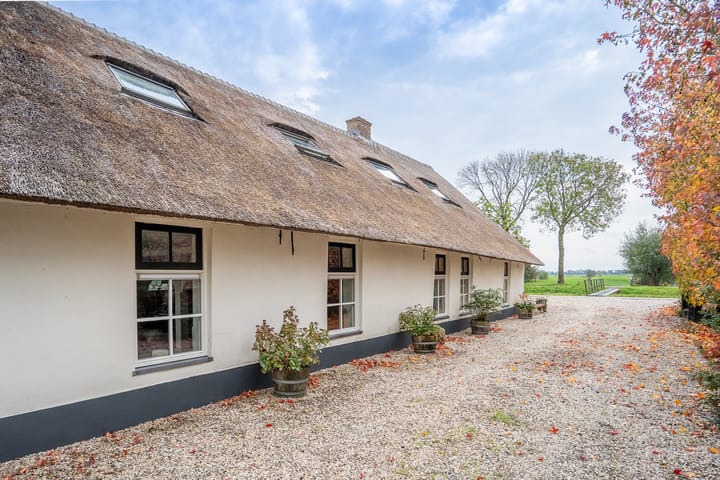 Photo 84 of Benedeneind NZ 384