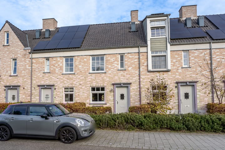 Boommarter 14 main image