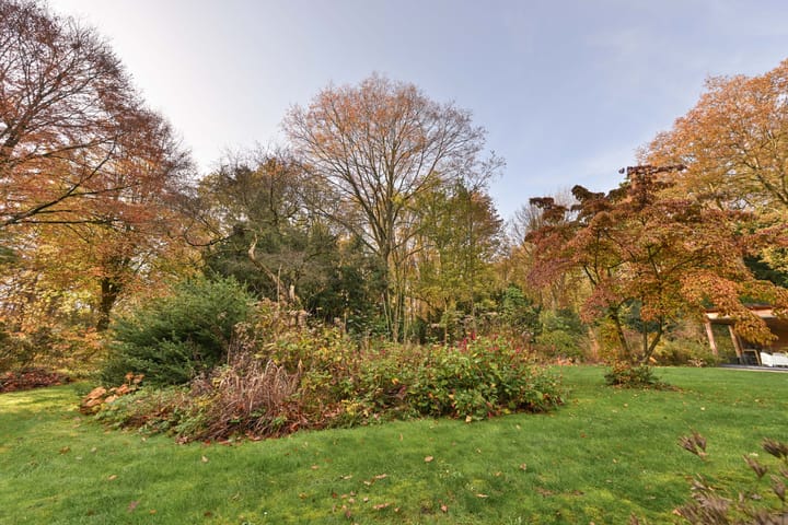 Photo 4 of Meentheweg 16