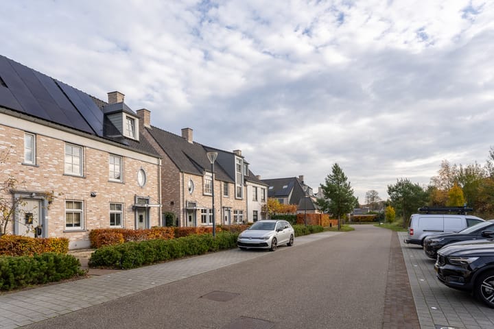 Photo 29 of Boommarter 14