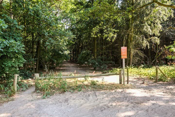 Photo 33 of Boommarter 14