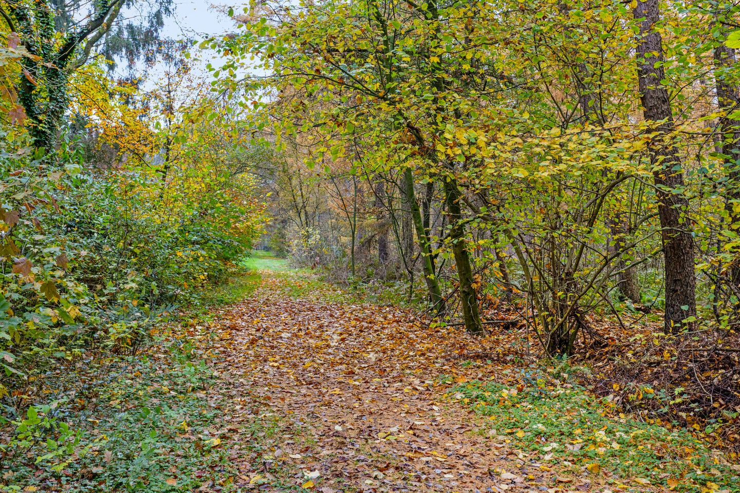 Photo 35 of Meentheweg 16